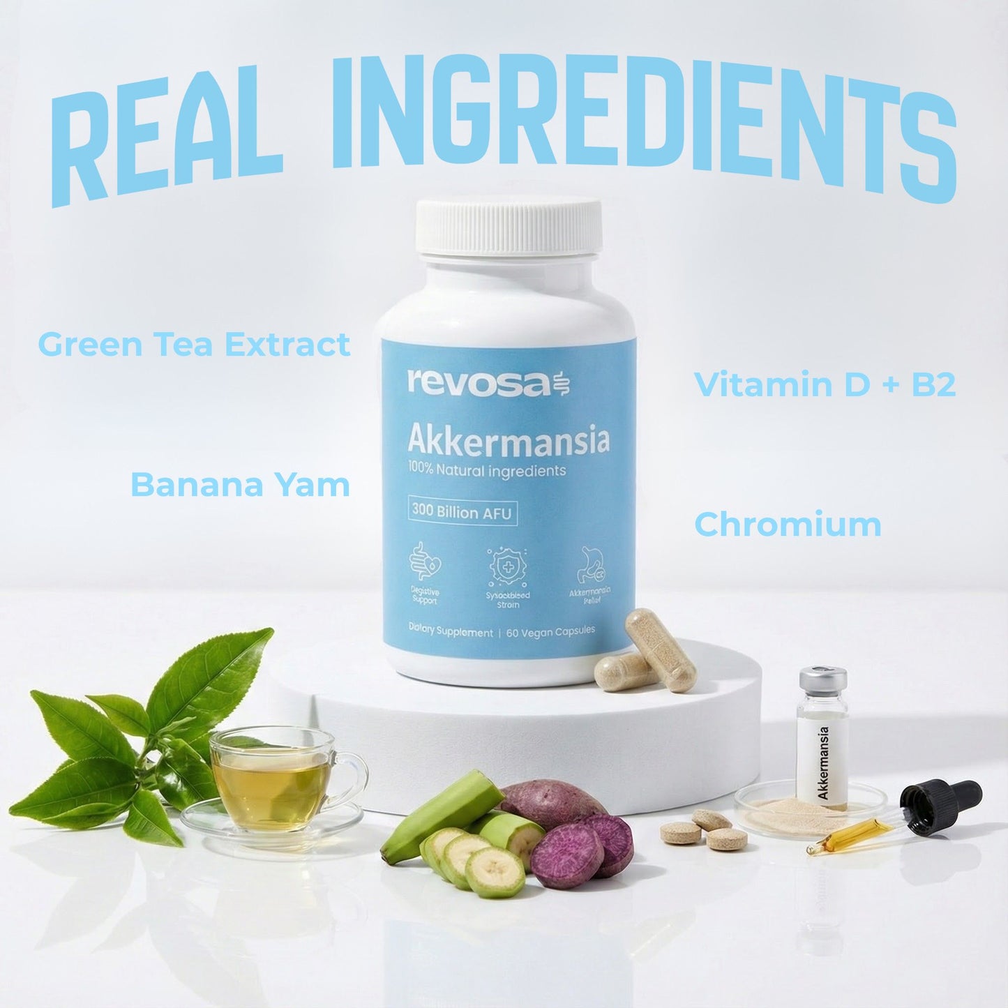 Akkermansia 60 Vegan Capsules | Gut Health