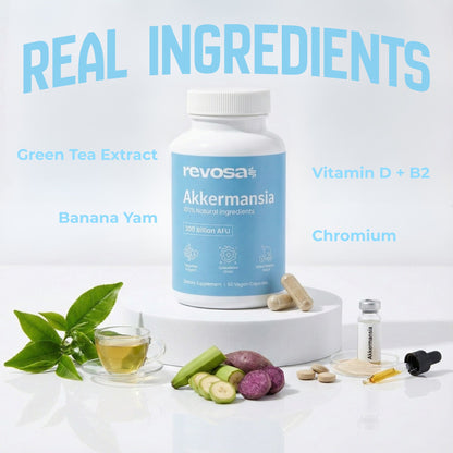 Akkermansia 60 Vegan Capsules | Gut Health