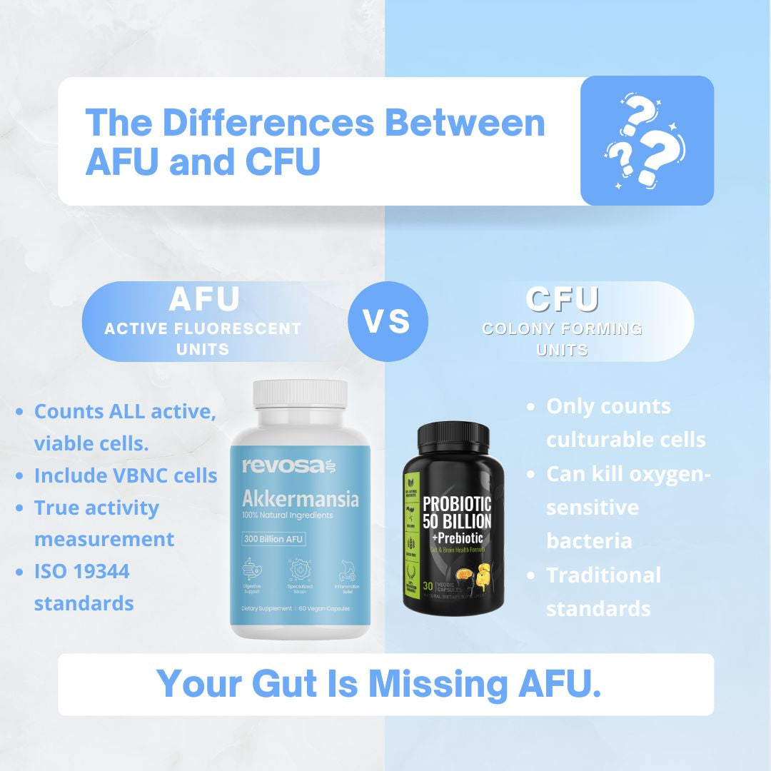 Akkermansia 60 Vegan Capsules | Gut Health