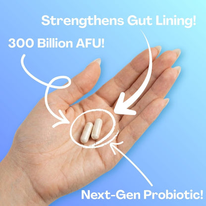 Akkermansia 60 Vegan Capsules | Gut Health